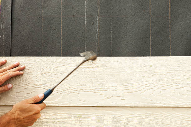 Affordable Siding Repair and Maintenance Services in Canonsburg, PA